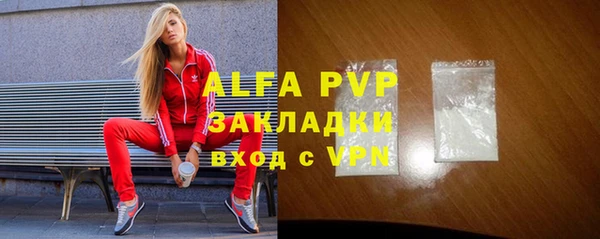 стаф Новокубанск