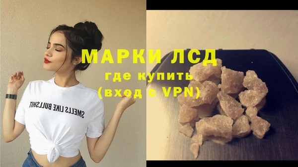 стаф Новокубанск