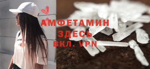 стаф Новокубанск