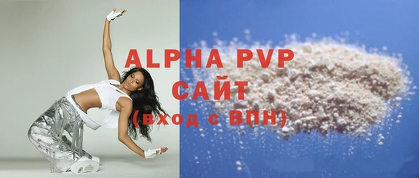 стаф Новокубанск