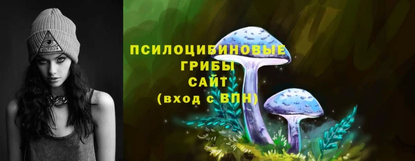 стаф Новокубанск