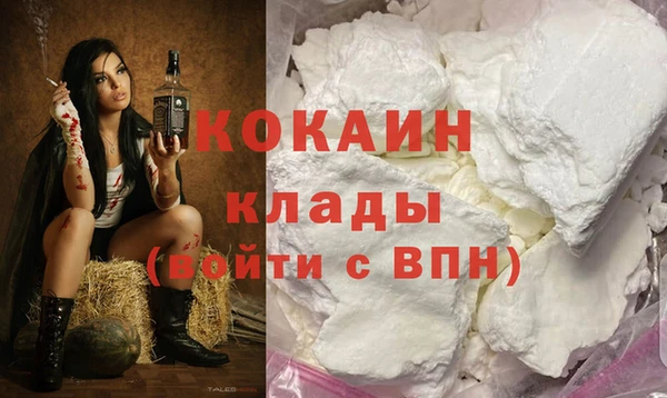 стаф Новокубанск