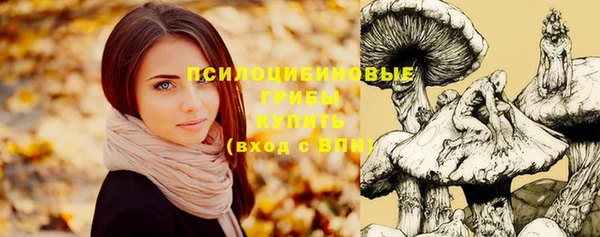 spice Нефтекумск
