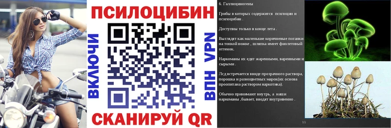Галлюциногенные грибы Psilocybine cubensis  Ленск 